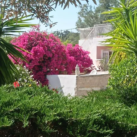 Casa Olivier * Loulé