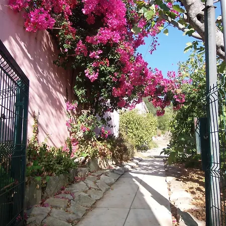 Casa Olivier * Loulé