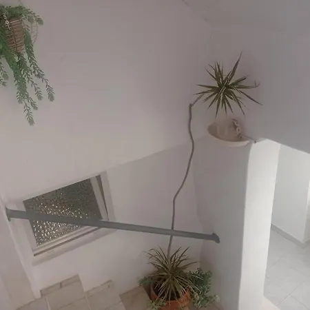 度假居 Casa Olivier *