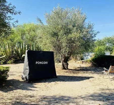 Tatil Evi Casa Olivier Loulé