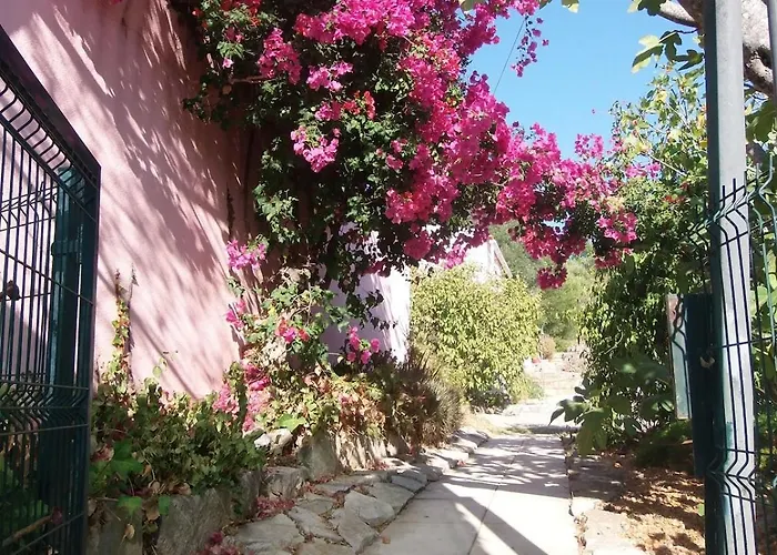 Casa Olivier * Loule